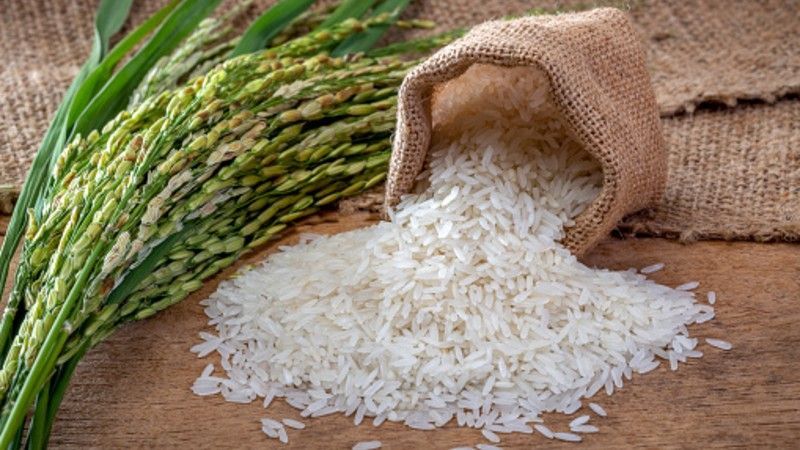 Give Full Priority on Sabah’s Rice Self Sufficiency Level (SSL) Agenda