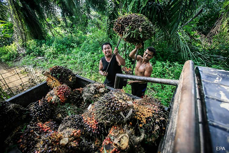1.3 Juta Daripada 2.3 Juta Tenaga Kerja di Sabah Tidak Berdaftar Dengan KWSP