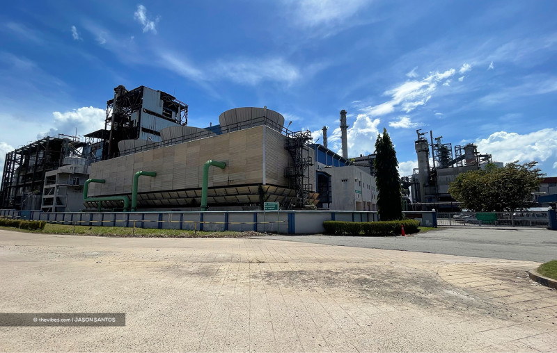The plight of paper giant Sabah Forest Industries’ laid-off workers